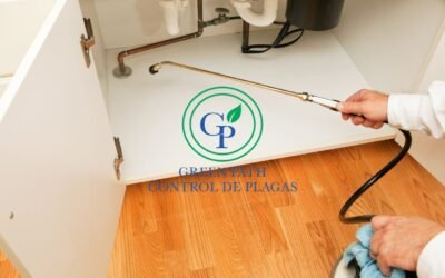 Eliminación de Plagas de Cucarachas: Soluciones Eficaces y Profesionales en CDMX y Estado de México